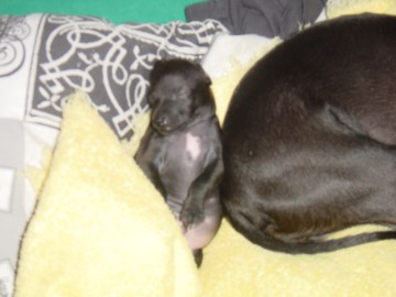 und schon darf ich in's Bett & Fernsehschlafen!
