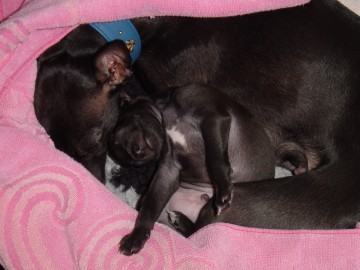 Schlafen mit Mama ....