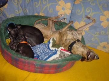 Kuscheln mit Mama & "Tante Purdey" ...