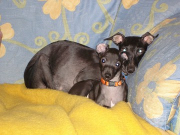 Mama & ich ... das Dreamteam!